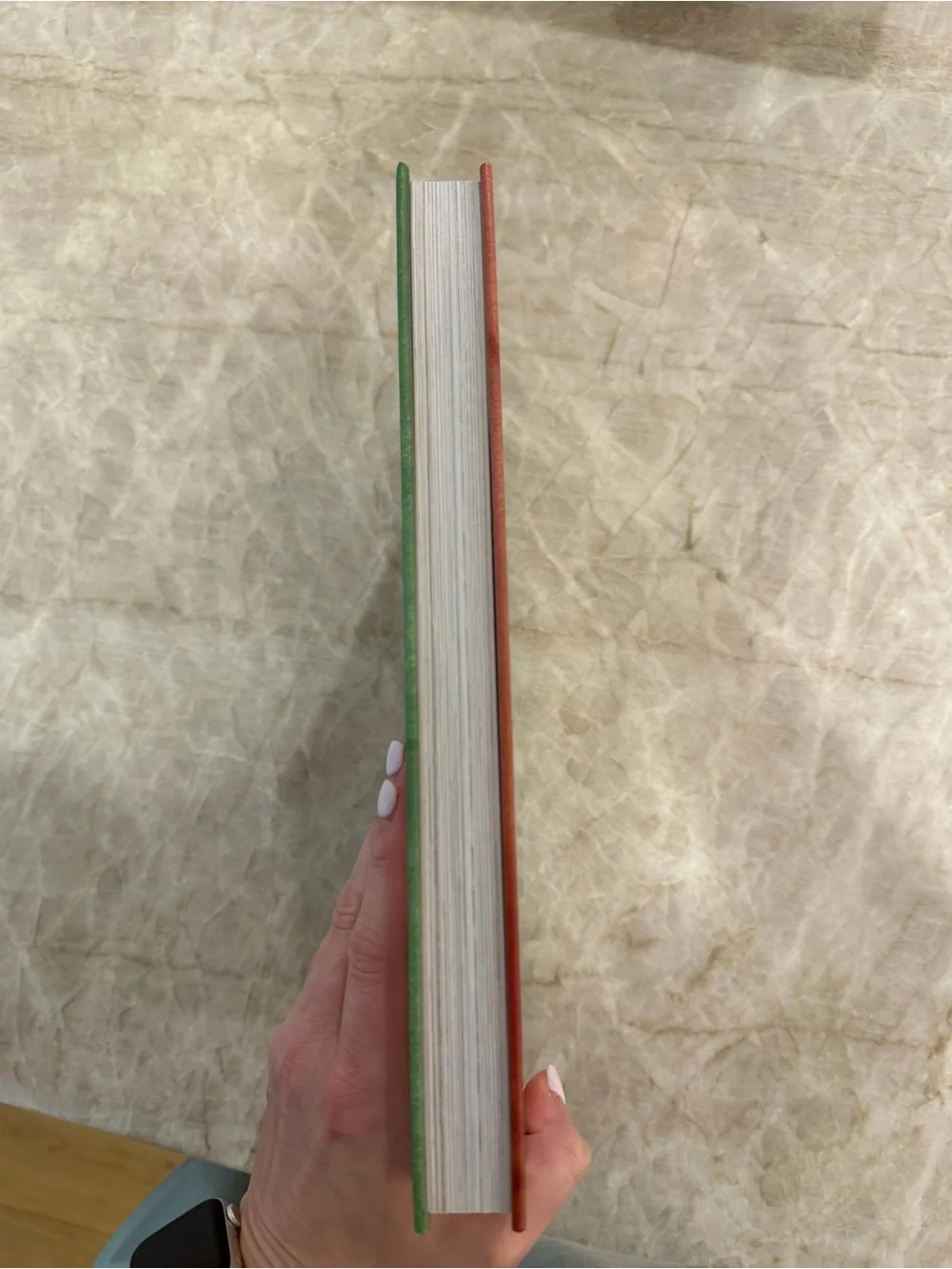 'The House Romantic' Hardcover Book - Multicolor